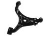 CTE CS-2903R Track Control Arm